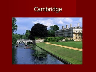 Cambridge
 