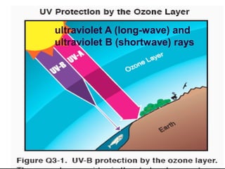 ultraviolet A (long-wave) and
ultraviolet B (shortwave) rays

Prof S S Jahagirdar, NKOCET

14

 