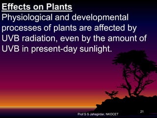 Effects on Plants
Physiological and developmental
processes of plants are affected by
UVB radiation, even by the amount of
UVB in present-day sunlight.

Prof S S Jahagirdar, NKOCET

21

 