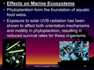 • Effects on Marine Ecosystems
• Phytoplankton form the foundation of aquatic
food webs.
• Exposure to solar UVB radiation has been
shown to affect both orientation mechanisms
and motility in phytoplankton, resulting in
reduced survival rates for these organisms.

Prof S S Jahagirdar, NKOCET

22

 