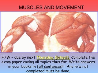 MUSCLES AND MOVEMENT H/W – due by next  Thursday (latest).  Complete the exam paper coving all topics thus far. Write answers in your books in  full sentences !!!  Any h/w not completed must be done. 