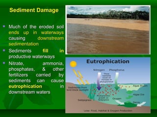 Sediment DamageSediment Damage
 Much of the eroded soilMuch of the eroded soil
ends up in waterwaysends up in waterways
causingcausing downstreamdownstream
sedimentationsedimentation
 SedimentsSediments fill infill in
productive waterwaysproductive waterways
 Nitrate, ammonia,Nitrate, ammonia,
phosphates, & otherphosphates, & other
fertilizers carried byfertilizers carried by
sediments can causesediments can cause
eutrophicationeutrophication inin
downstream watersdownstream waters
 