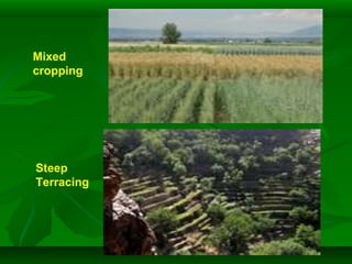 Mixed
cropping
Steep
Terracing
 