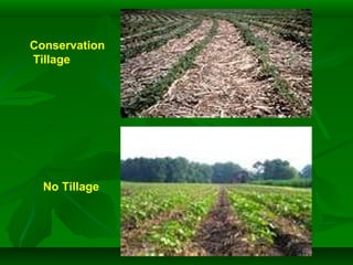 Conservation
Tillage
No Tillage
 