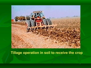 Tillage operation in soil to receive the crop
 