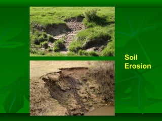 Soil
Erosion
 