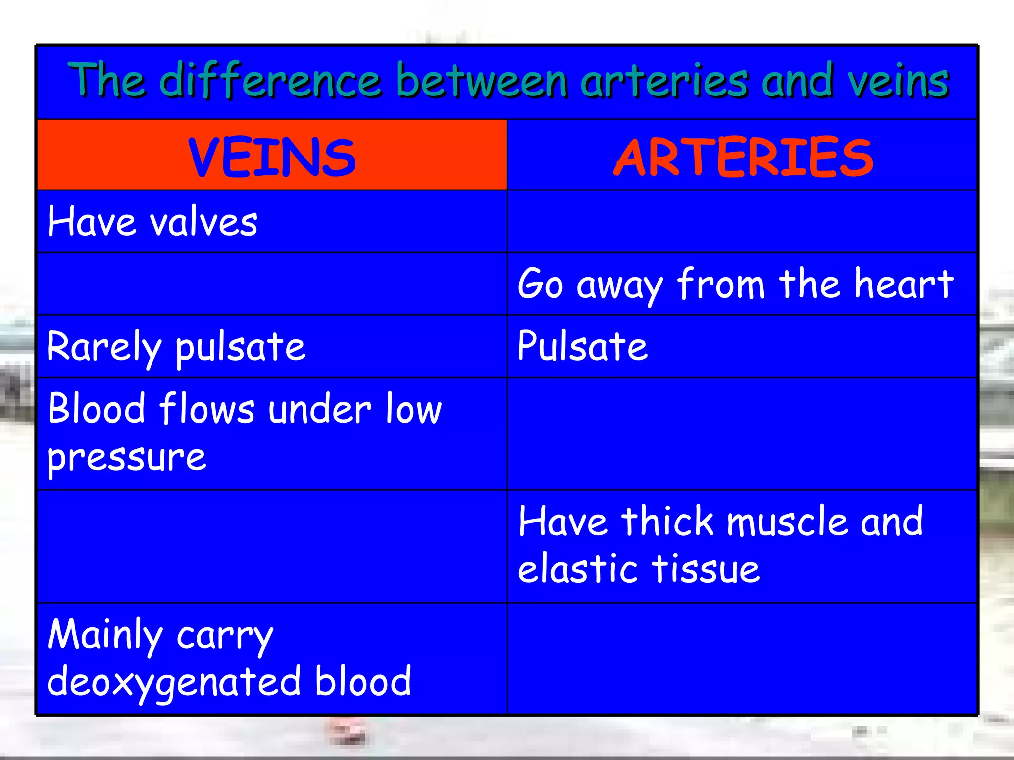 Mainly carry deoxygenated blood Have thick muscle and elastic tissue Blood flows under low pressure Pulsate Rarely pulsate Go away from the heart Have valves ARTERIES VEINS The difference between arteries and veins 