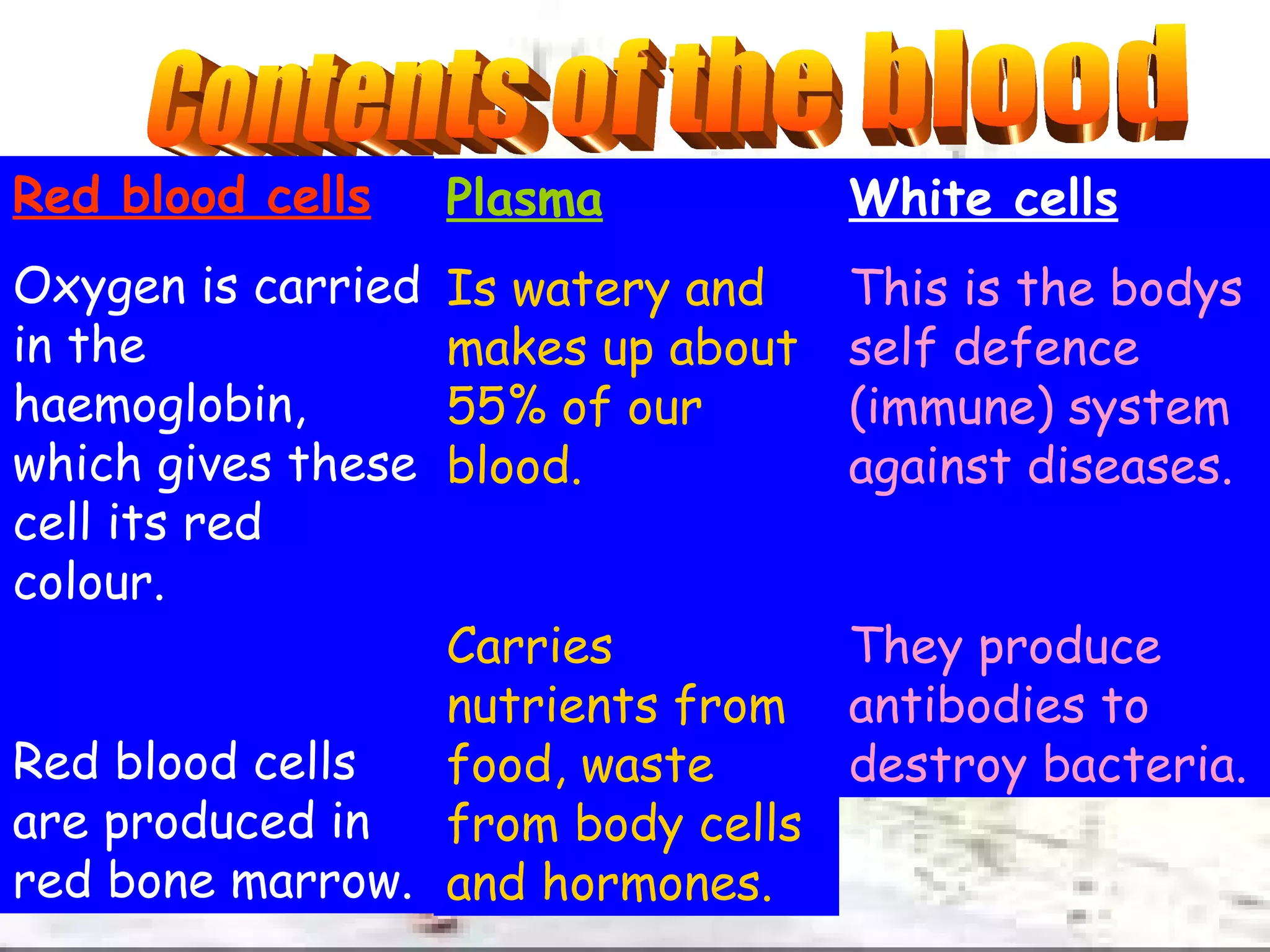 Contents of the blood Red blood cells Oxygen is carried in the haemoglobin, which gives these cell its red colour. Red blood cells are produced in red bone marrow. Plasma Is watery and makes up about 55% of our blood. Carries nutrients from food, waste from body cells and hormones. White cells This is the bodys self defence (immune) system against diseases. They produce antibodies to destroy bacteria. 