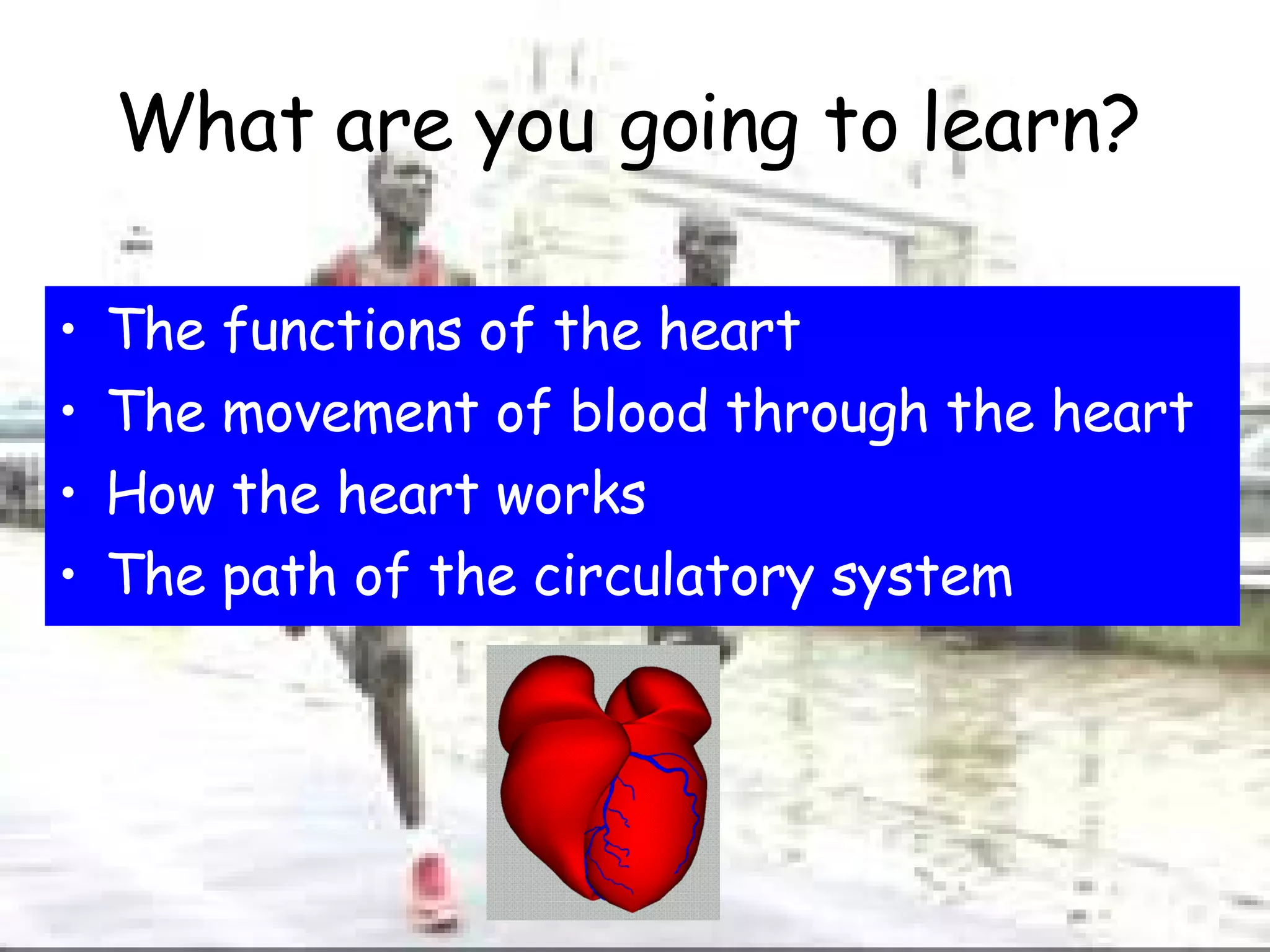 What are you going to learn? The functions of the heart The movement of blood through the heart How the heart works The path of the circulatory system 