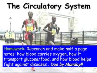 The Circulatory System Homework:  Research and make half a page notes: how blood carries oxygen, how it transport glucose/food, and how blood helps fight against diseases .  Due by  Monday!! 