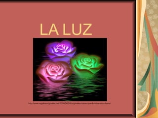 LA LUZ



http://www.regalosoriginales.net/2009/06/24/originales-rosas-que-iluminaran-tu-bano/
 