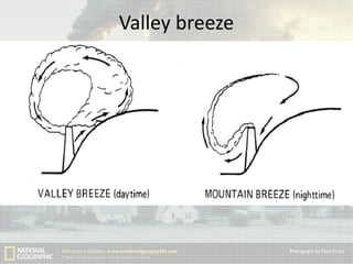 Valley breeze

 