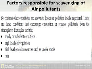 Factors responsible for scavenging of
Air pollutants

 