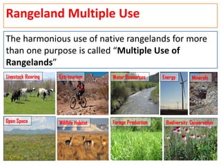 L-13- Importance of Rangelands and Range Management W-23.pdf