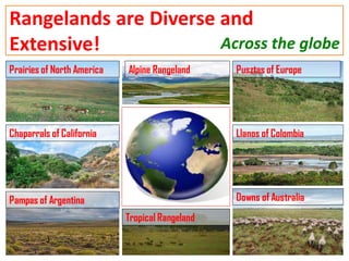 L-13- Importance of Rangelands and Range Management W-23.pdf