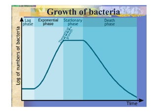 Growth of bacteria
w: 800 × 549 pixels.Other resolutions: 320 × 220 pixels | 640 × 439 pixels.
 