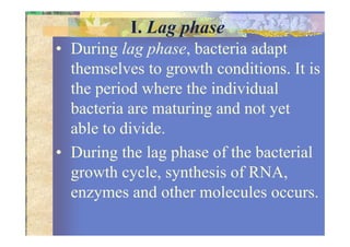 I. Lag phase
• During lag phase, bacteria adapt
themselves to growth conditions. It is
the period where the individual
bacteria are maturing and not yet
able to divide.able to divide.
• During the lag phase of the bacterial
growth cycle, synthesis of RNA,
enzymes and other molecules occurs.
 