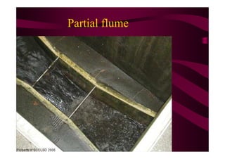 Partial flume
 