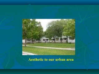 Aesthetic to our urban area
 