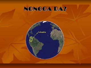 NONGOA DA?

 