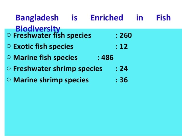 brood management of indian major carps 2015-12-10 iosr journal of environmental science, toxicology and food technology (iosr-jestft) e-issn: 2319-2402,p- issn: 2319-2399 volume 1 issue 6, pp 33-37 wwwiosrjournalsorg swami shri swaroopanand saraswati mahavidyalya hudco. brood management of indian major carps 2015-12-10 iosr journal of environmental science, toxicology and food technology (iosr-jestft) e-issn: 2319-2402,p- issn: 2319-2399 volume 1 issue 6, pp 33-37 wwwiosrjournalsorg swami shri swaroopanand saraswati mahavidyalya hudco.