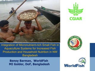 Benoy Barman, WorldFish
MI Golder, DoF, Bangladesh
Integration of Micronutrient-rich Small Fish in
Aquaculture Systems for Increased Fish
Production and Household Nutrition in NW
Bangladesh
 