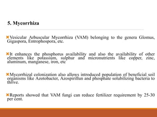 5. Mycorrhiza
Vesicular Arbuscular Mycorrhiza (VAM) belonging to the genera Glomus,
Gigaspora, Entrophospora, etc.
It enhances the phosphorus availability and also the availability of other
elements like potassium, sulphur and micronutrients like copper, zinc,
aluminum, manganese, iron, etc
Mycorrhizal colonization also allows introduced population of beneficial soil
organisms like Azotobacter, Azospirillun and phosphate solubilizing bacteria to
thrive.
Reports showed that VAM fungi can reduce fertilizer requirement by 25-30
per cent.
 