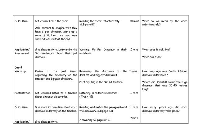 My pet essay cat picture