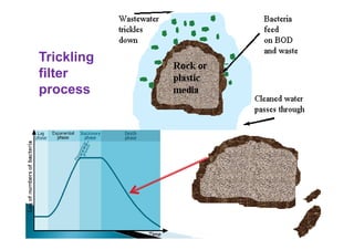 Trickling
filter
process
 