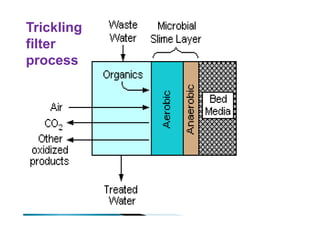 Trickling
filter
process
 