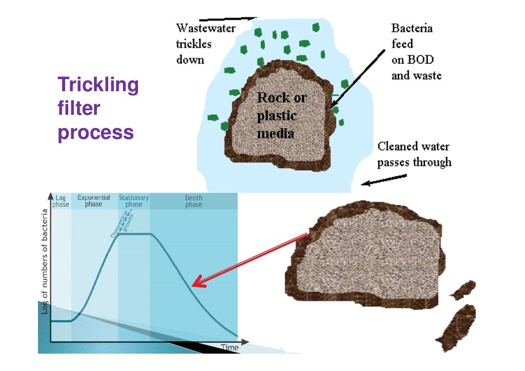 L 18 trickling filter