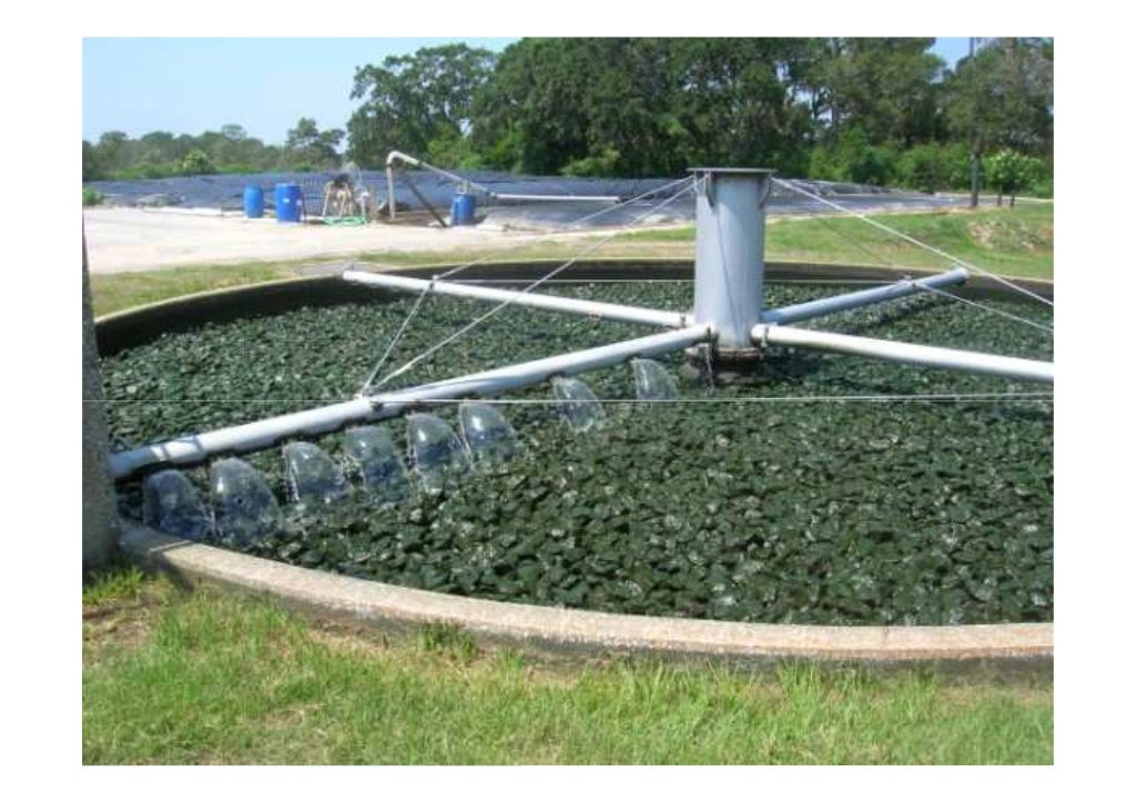 L 18 trickling filter