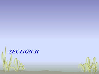 SECTION-II

 