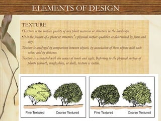 TEXTURE
•Texture is the surface quality of any plant material or structure in the landscape.
•It is the feature of a plant or structure s physical surface qualities as determined by form and
size.
Texture is analyzed by comparison between objects, by association of these objects with each
other, and by distance.
Texture is associated with the senses of touch and sight. Referring to the physical surface of
plants (smooth, rough,shiny, or dull), texture is tactile.
ELEMENTS OF DESIGN
 