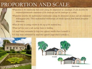 PROPORTION AND SCALE
•Proportion is the relationship that exists among the components of a landscape. It also describes the
relationshipbetweenthe components of the landscape and the landscape as a whole.
•Proportion describes the mathematical relationships among the dimensions of space and site components
makingupan area. These mathematical relationships are totally separate from human perception
dimensions.
•Plan for trees in settings relative to the size of the matured trees.
•Plant tall trees near a tall, narrow house or building.
•A small house surrounded by large trees appears smaller than it actually is.
•A large house surrounded by small trees appears larger than it actually is.
 