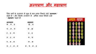 अल्पप्राण और महाप्राण
जजन वर्ों क
े उच्चारर् में मुख से कम श्वास तनकले उन्हें 'अल्पप्राण '
कहते हैं ! और जजनक
े उच्चारर् में अचधक श्वास तनकले उन्हें
' महाप्राण 'कहते हैं!
अल्पप्राण महाप्राण
क , ग , ङ ख , र्
च , ज , ञ छ , झ
ट , ड , र् ठ , ढ
त , द , न थ , ध
प , ब , म फ , भ
य , र , ल , व र् , ष , स , ह
 