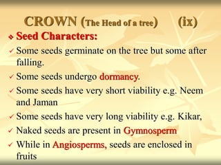 CROWN (The Head of a tree) (ix)
 Seed Characters:
 Some seeds germinate on the tree but some after
falling.
 Some seeds undergo dormancy.
 Some seeds have very short viability e.g. Neem
and Jaman
 Some seeds have very long viability e.g. Kikar,
 Naked seeds are present in Gymnosperm
 While in Angiosperms, seeds are enclosed in
fruits
 