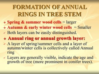 FORMATION OF ANNUAL
RINGS IN TREE STEM
 Spring & summer wood cells = larger
 Autumn & early winter wood cells = Smaller
 Both layers can be easily distinguished.
 Annual ring or annual growth layer:
 A layer of spring/summer cells and a layer of
autumn/winter cells is collectively called Annual
ring
 Layers are generally visible, indicate the age and
growth of tree (more prominent in conifer trees).
 