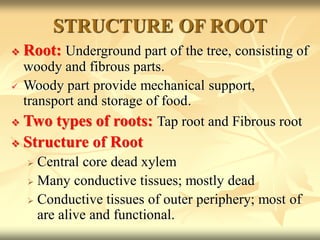 STRUCTURE OF ROOT
 Root: Underground part of the tree, consisting of
woody and fibrous parts.
 Woody part provide mechanical support,
transport and storage of food.
 Two types of roots: Tap root and Fibrous root
 Structure of Root
 Central core dead xylem
 Many conductive tissues; mostly dead
 Conductive tissues of outer periphery; most of
are alive and functional.
 