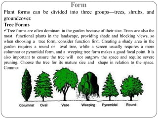 Short Note On Tree Form L-2-landscape architecture -PLANTS.pdf