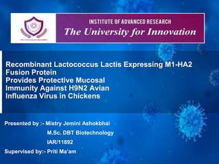 Recombinant Lactococcus Lactis Expressing M1-HA2
Fusion Protein
Provides Protective Mucosal
Immunity Against H9N2 Avian
Influenza Virus in Chickens
Presented by :- Mistry Jemini Ashokbhai
M.Sc. DBT Biotechnology
IAR/11892
Supervised by:- Priti Ma’am
 
