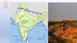 M.V.HERWADKAR ENGLISH MEDIUM SCHOOL 33
 