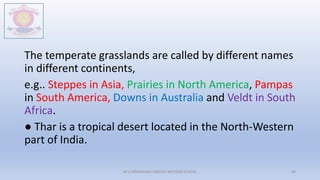 The temperate grasslands are called by different names
in different continents,
e.g.. Steppes in Asia, Prairies in North America, Pampas
in South America, Downs in Australia and Veldt in South
Africa.
● Thar is a tropical desert located in the North-Western
part of India.
M.V.HERWADKAR ENGLISH MEDIUM SCHOOL 64
 