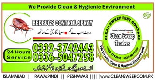 Bedbugs Spray Rawalpindi and Islamabad