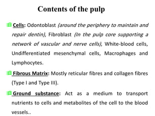 Contents of the pulp
 Cells: Odontoblast (around the periphery to maintain and
repair dentin), Fibroblast (In the pulp core supporting a
network of vascular and nerve cells), White-blood cells,
Undifferentiated mesenchymal cells, Macrophages and
Lymphocytes.
 Fibrous Matrix: Mostly reticular fibres and collagen fibres
(Type I and Type III).
 Ground substance: Act as a medium to transport
nutrients to cells and metabolites of the cell to the blood
vessels..
 