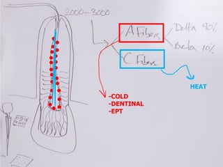-COLD
-DENTINAL
-EPT
HEAT
 