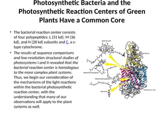 L.10 Photosynthesis.ppt and the light stage, structure of chloroplasts ...