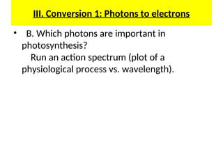 L.10 Photosynthesis.ppt and the light stage, structure of chloroplasts ...
