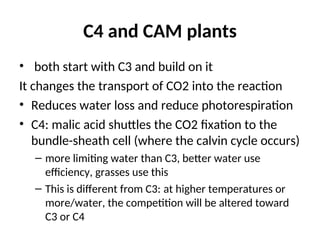 L. 6 Photosynthesis Dark.ppt calvine cycle c4 and CAM plants | PPT