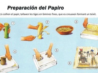 cis collien el papir, tallaven les tiges en làmines fines, que es creuaven formant un teixit.
 